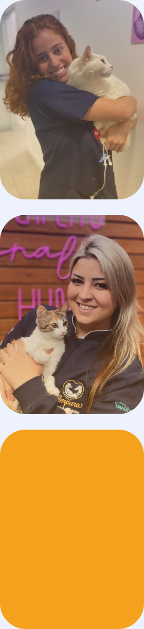 Amparo | Hospital Veterinário 24 horas