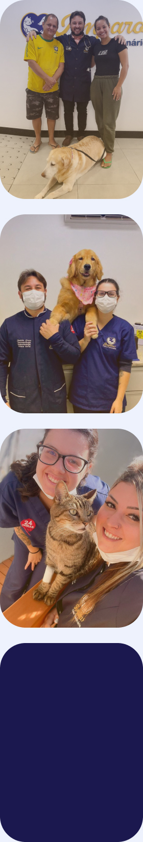 Amparo | Hospital Veterinário 24 horas