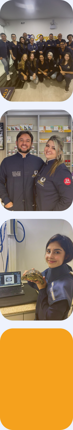 Amparo | Hospital Veterinário 24 horas