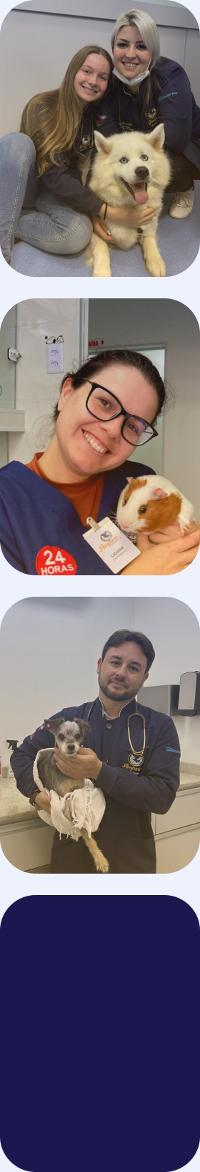 Amparo | Hospital Veterinário 24 horas